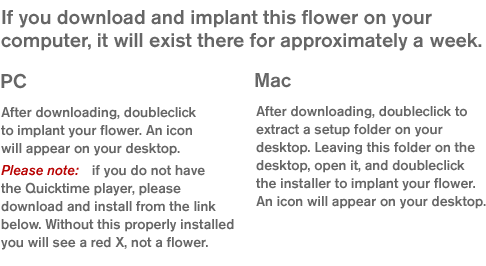 Instructions for pc: download and doubleclick, make sure you have quicktime; for Mac, download will expand to a folder on the desktop. doubleclick installer from there.